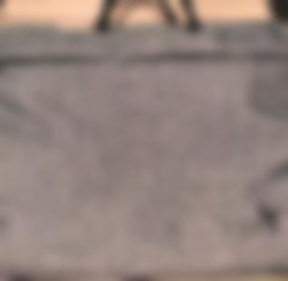 Сумка ФЛП большая - 1 шт.